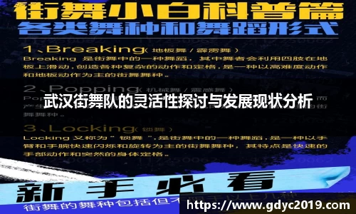 武汉街舞队的灵活性探讨与发展现状分析